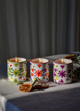 TOMATO BASIL SCENTED CANDLE